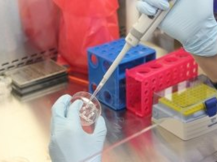 lab_pipet