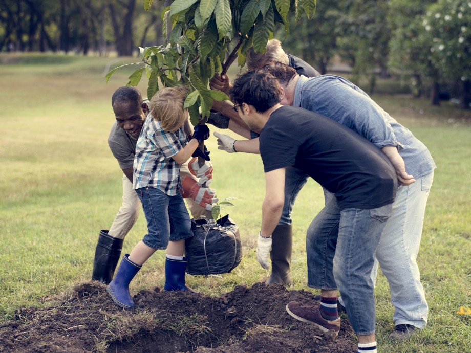 Groep mensen plant een boom