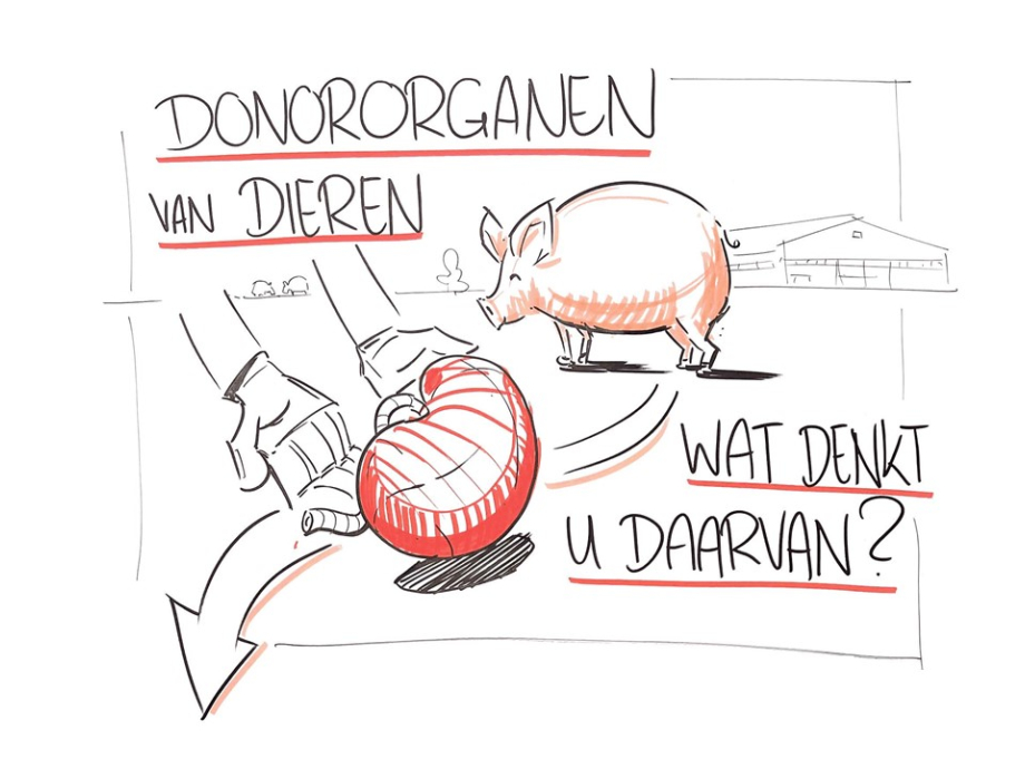 Illustratie: donordieren, wat denkt u daarvan?