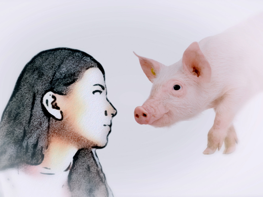 Illustratie van een vrouw met een varken