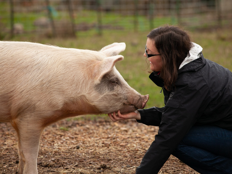 Een vrouw met een varken
