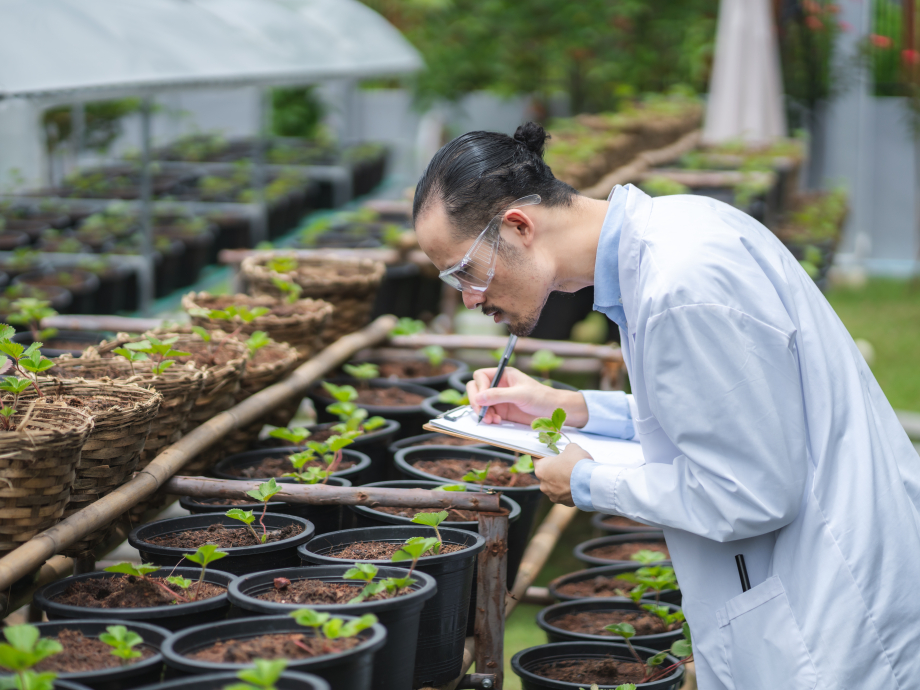 Een onderzoeker analyseert de groei van planten in een kas