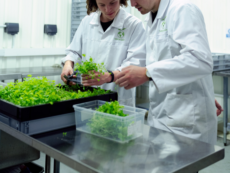 onderzoekers zijn bezig met planten