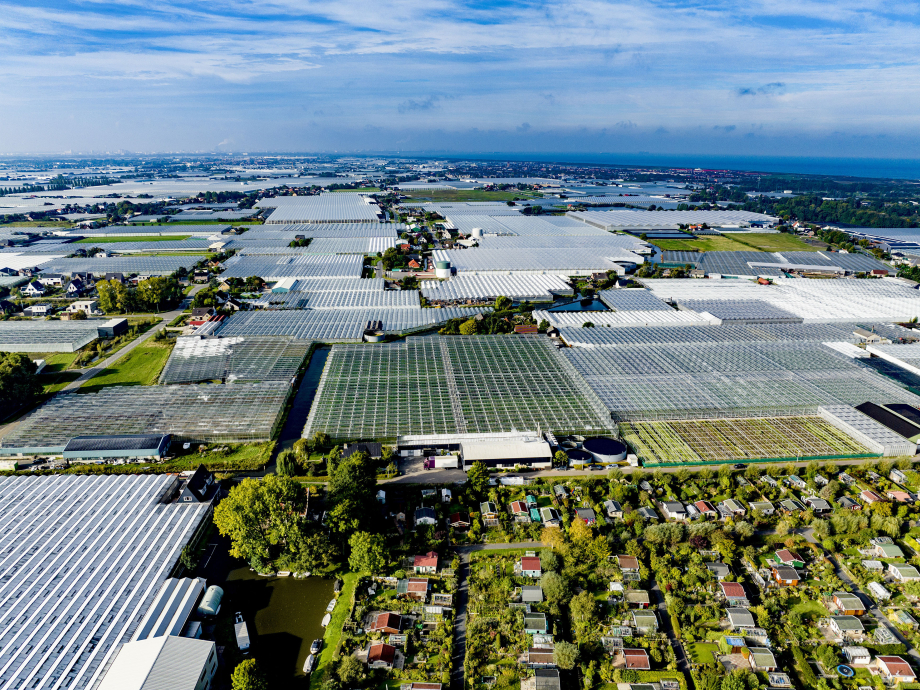 Dronefoto van kassen in Poeldijk