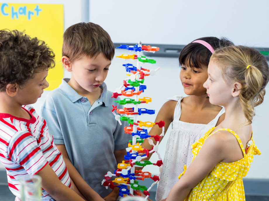 Vier kinderen kijken naar een plastic DNA-model