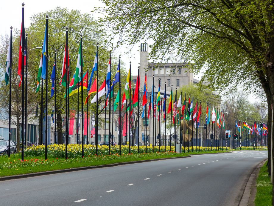 De vlaggenparade bij het World Forum in Den Haag