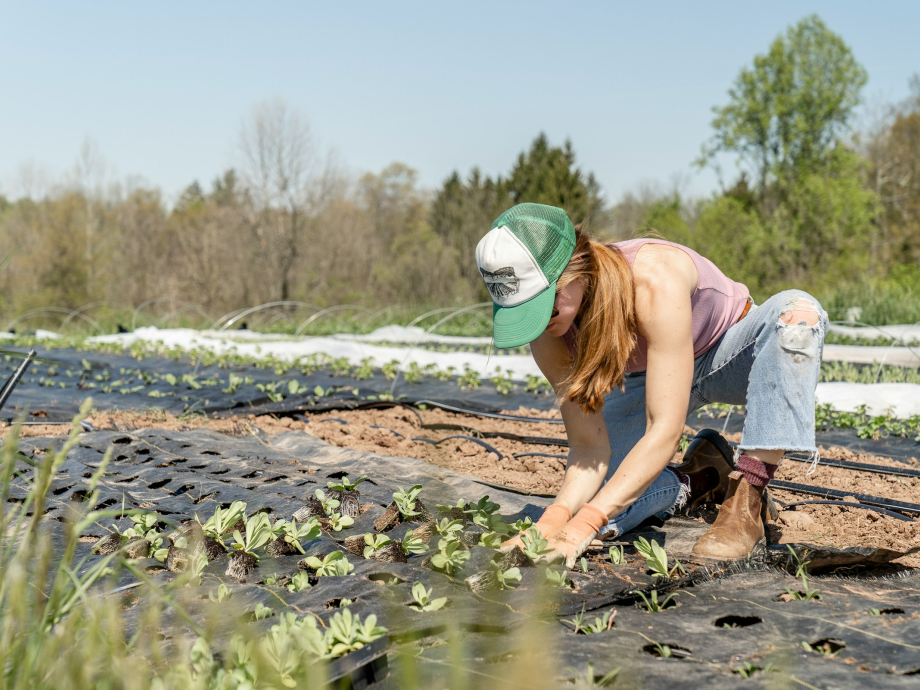 Een persoon plant voorjaarszaailingen in de grond bij een duurzame boerderij