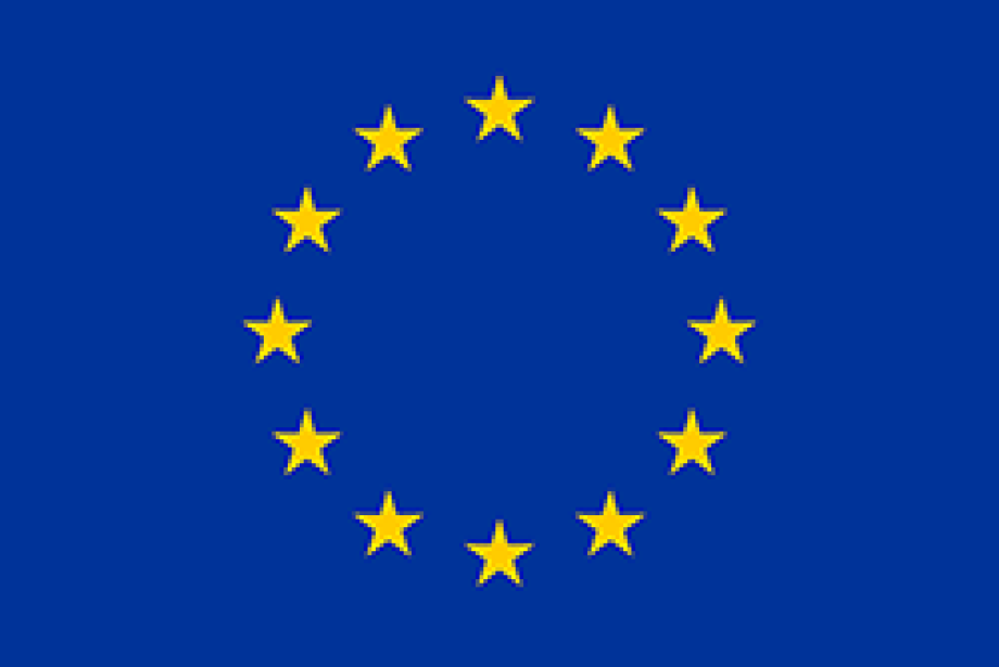 De vlag van de Europese Unie
